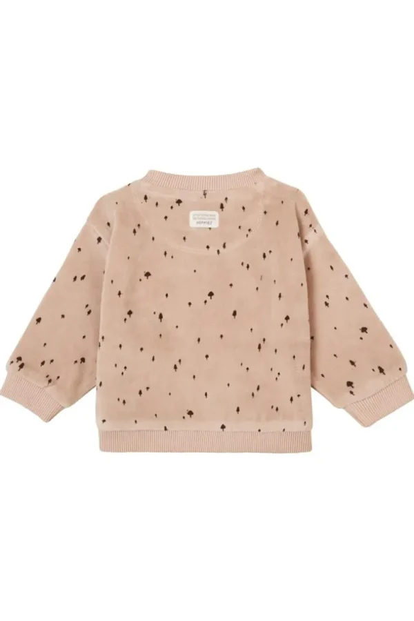 Noppies Truien<Sweater Gaspe - Mushroom