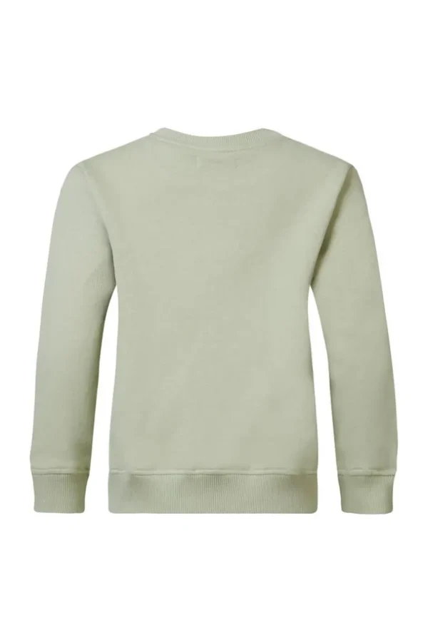 Noppies Truien<Trui Delray - Desert Sage