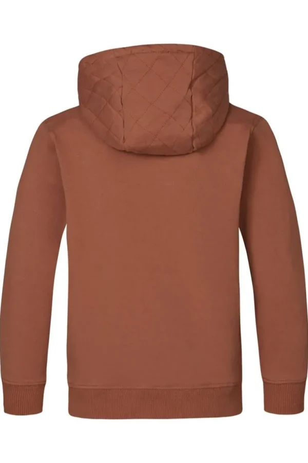 Noppies Truien<Trui Hedong - Brown Patina