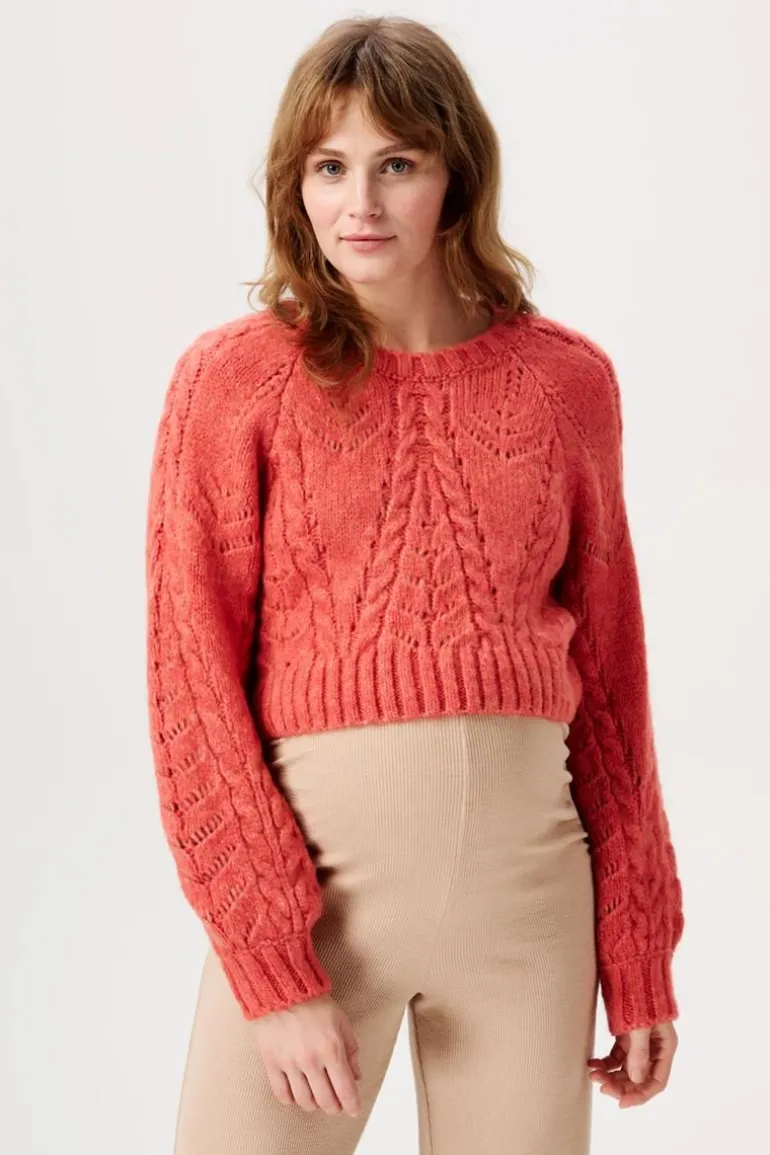 trui_met_voedingsfunctie__7-4.webp Noppies Truien & Sweaters | Truien & Sweaters<Trui Met Voedingsfunctie Esbjerg - Mineral Red