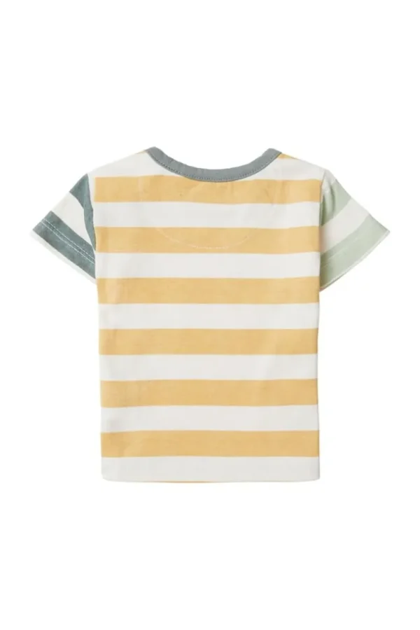 Noppies T-Shirts<T-shirt Balsam Lake - Curry