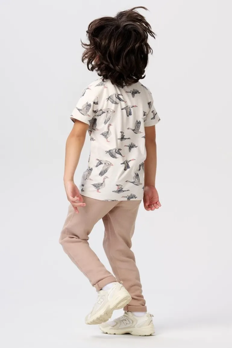 tshirt_dierks__oatmeal_5.webp Noppies Shirts<T-shirt Dierks - Oatmeal