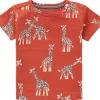 Noppies T-Shirts<T-shirt Huddersfield - Hot Sauce
