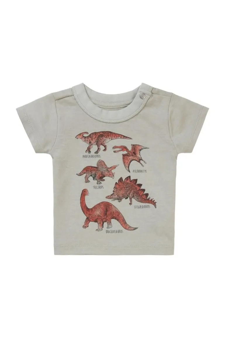 tshirt_momence__willow_gr_0.webp Noppies T-Shirts<T-shirt Momence - Willow Grey